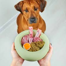 ¿Qué debe tener un buen pienso para perros?